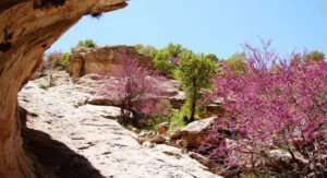 تنگ ارغوان واقع در استان ایلام - زرمش
